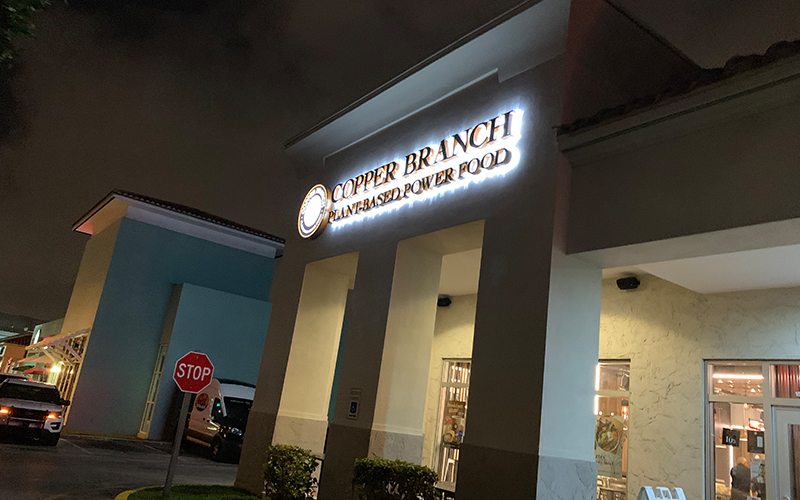 Preview of SoFlo Vegans Drinks at Copper Branch