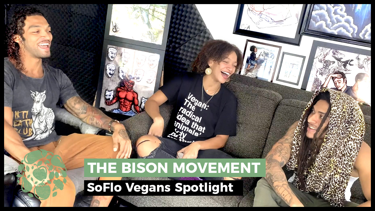 The Bison Movement