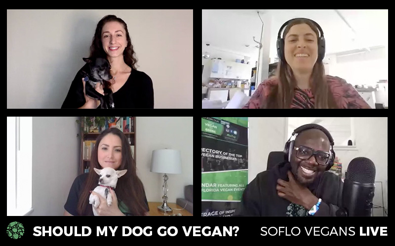 Should My Do Go Vegan?