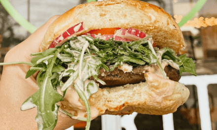 Double Cheeseburger Day: Top Spots in Miami | Local Finds