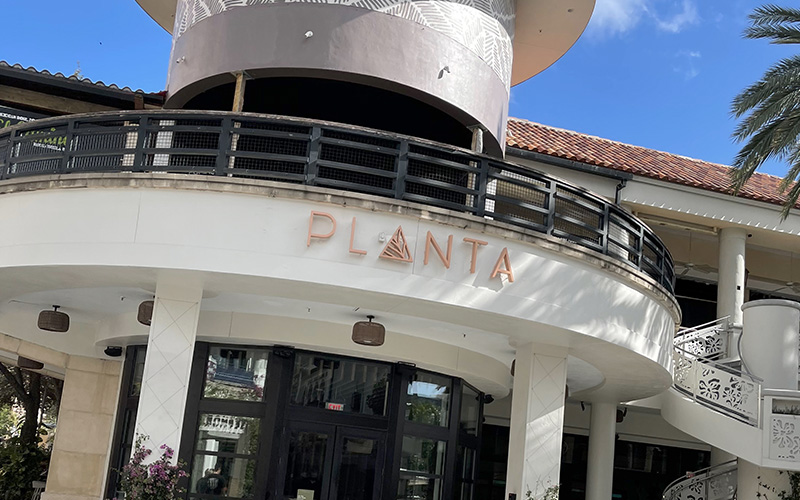 Planta West Palm Beach