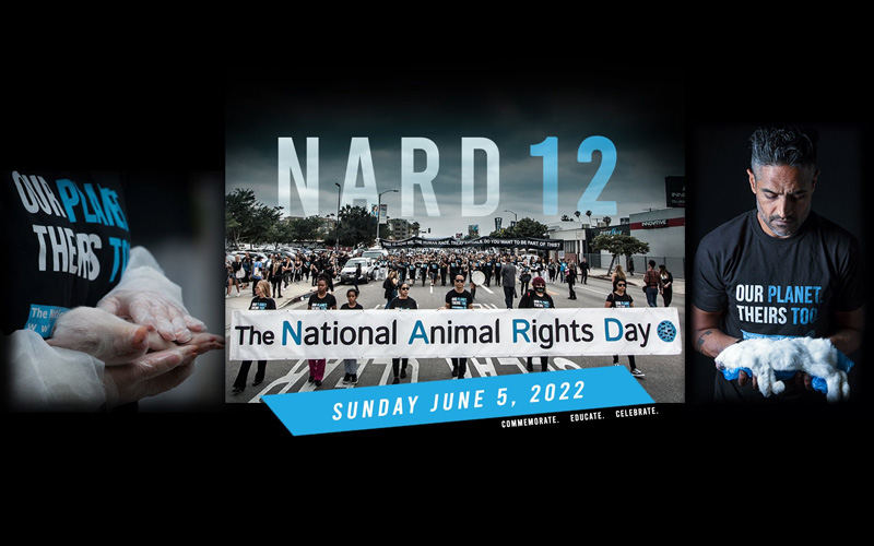 Join Us for Miami National Animal Rights Day 2022